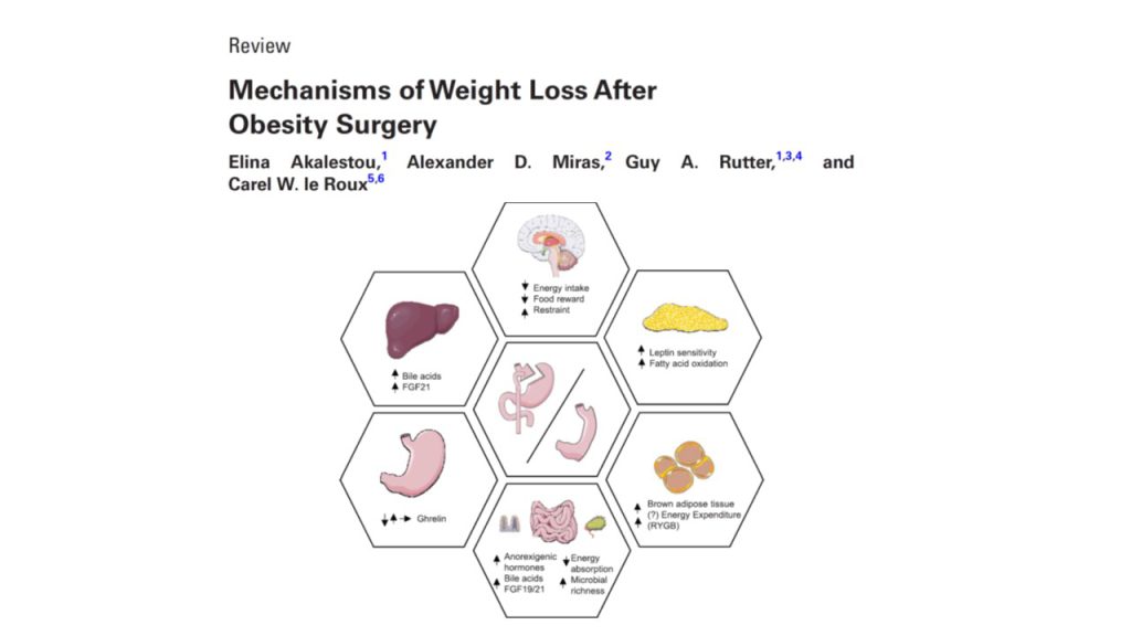 Mechanisms of Weight Loss After Obesity Surgery – สมาคมต่อมไร้ท่อแห่ง ...