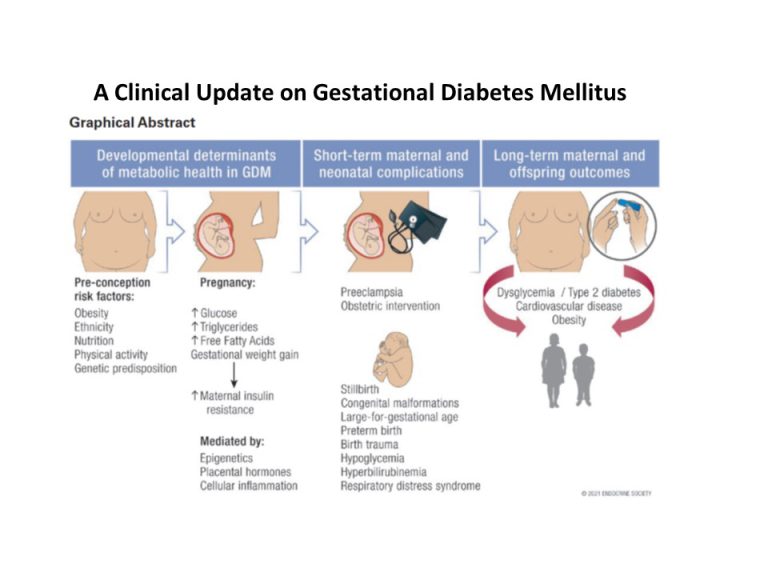 A Clinical Update on Gestational Diabetes Mellitus – สมาคมต่อมไร้ท่อ ...