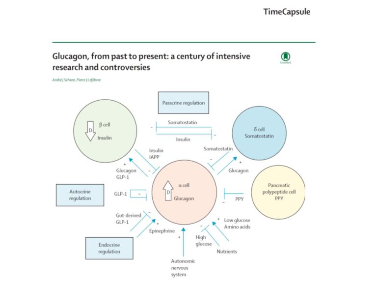 Glucagon, from past to present: a century of intensive research and ...